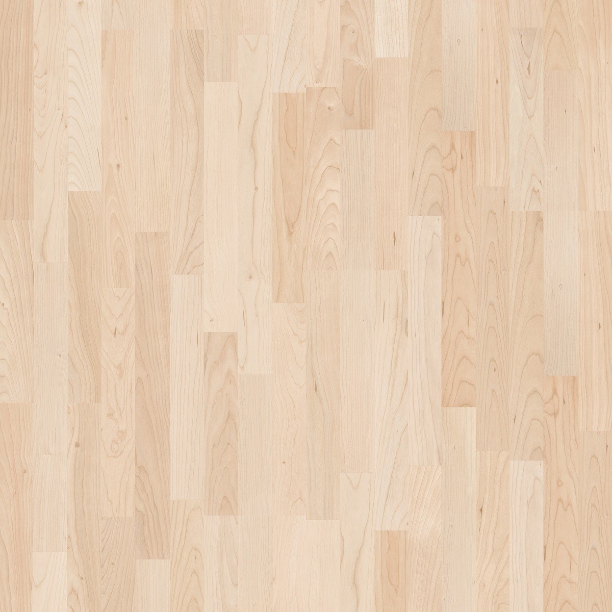 SCHÖNER WOHNEN Laminat Ahorn geschliffen Schiffsboden 3-Stab | Home Collection | 22 m²-4014809160045