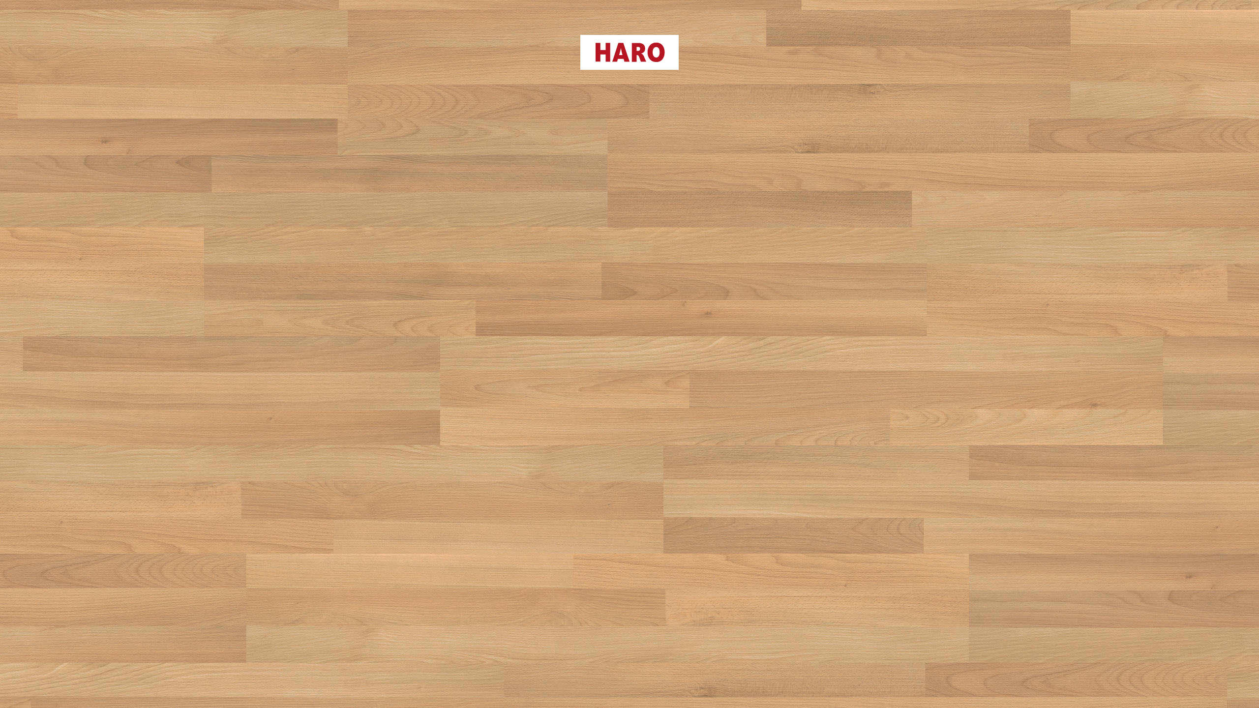 HARO Laminat Buche Schiffsboden 3-Stab strukturiert matt | Sonderedition NKL 31 | 2. Wahl | 12 m²-4018427516178