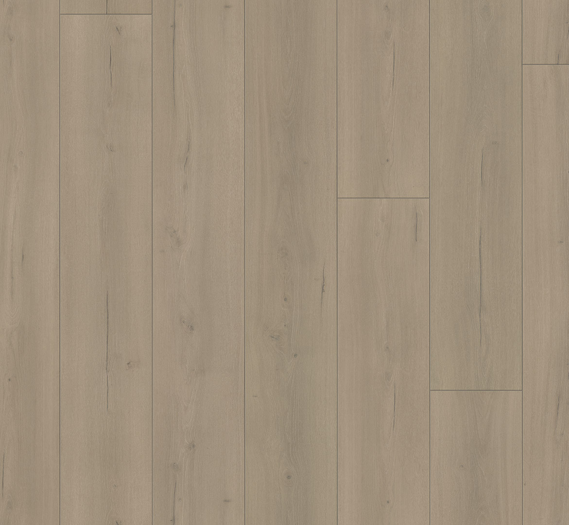 PARADOR Laminat Eiche Loft grau Lebhafte Struktur Schlossdiele 4-seitige V-Fuge | Trendtime 6-4014809191629