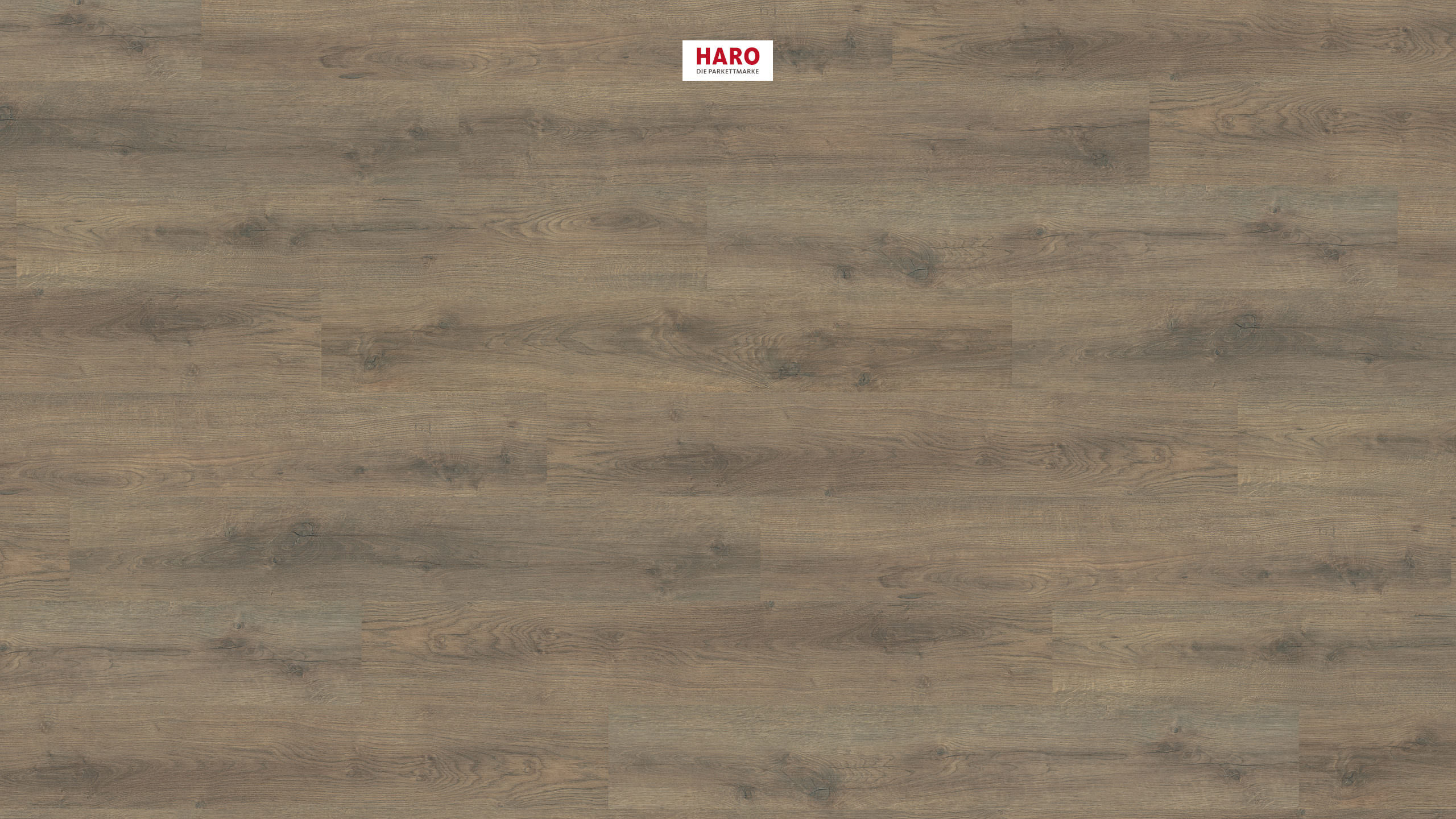 HARO Laminat Eiche Scarpa geräuchert strukturiert matt Landhausdiele | Sonderedition NKL31-401842511579 - bodenverkauf.de HARO Laminat Eiche Scarpa geräuchert strukturiert matt Landhausdiele | Sonderedition NKL31-401842511579