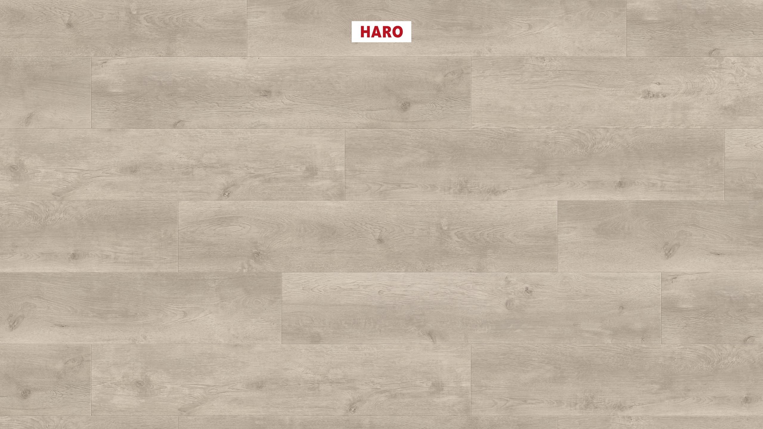 HARO Laminat Eiche Bergamo silbergrau Landhausdiele 4V | Tritty 100 Campus | 2. Wahl | 12 m²-4018427448165
