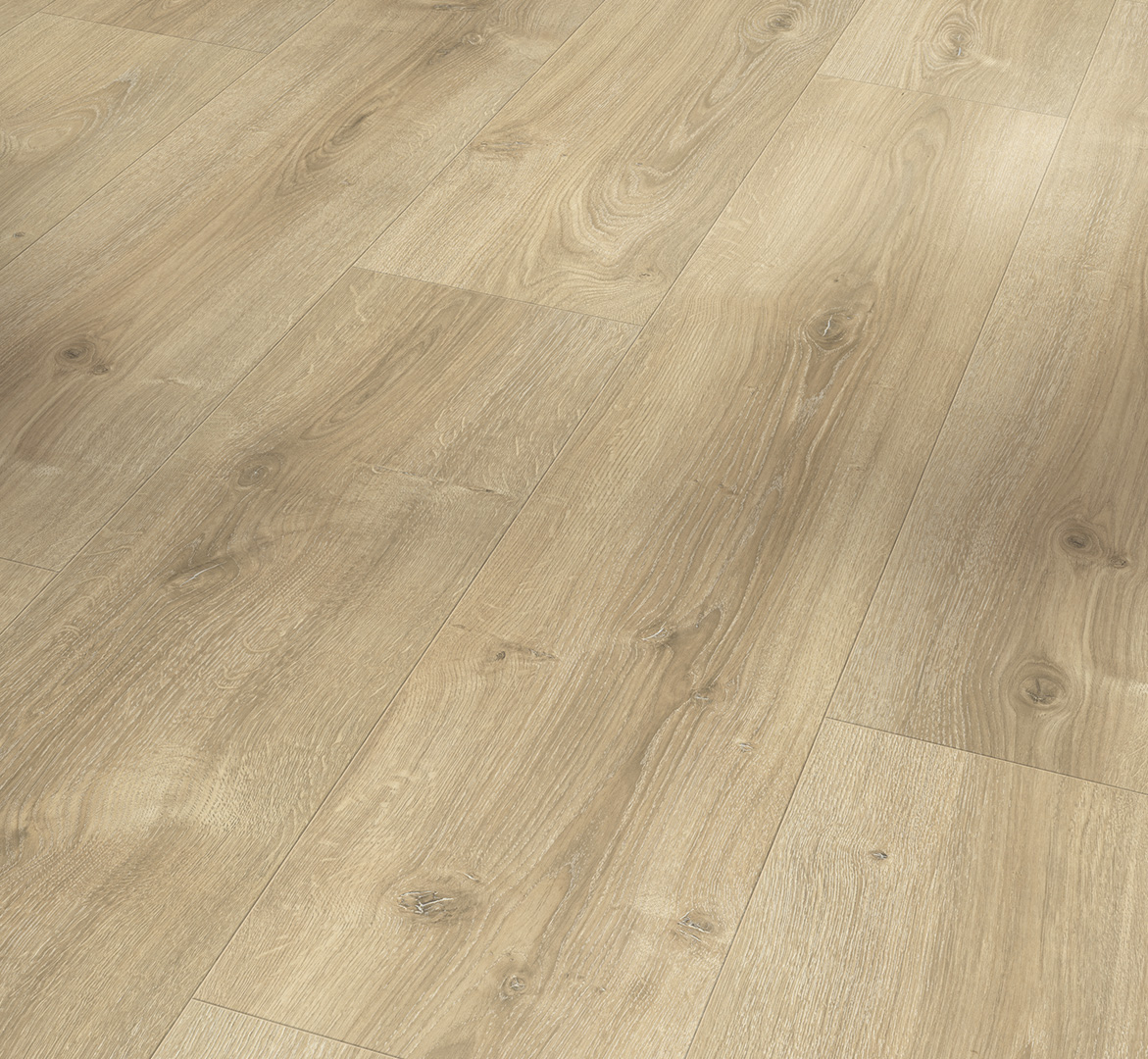 PARADOR Laminat Eiche Nova hell gekälkt Landhausdiele 4-seitige V-Fuge | Basic 600 XS | 2. Wahl-4014809233558