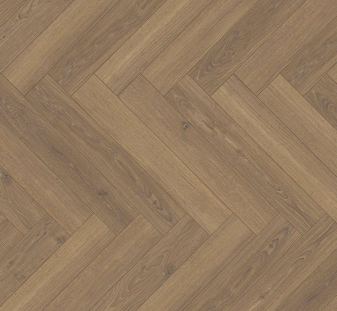 PARADOR Laminat Eiche Studioline honig Naturmattstruktur 4-seitige V-Fuge | Trendtime 3-4014809263319