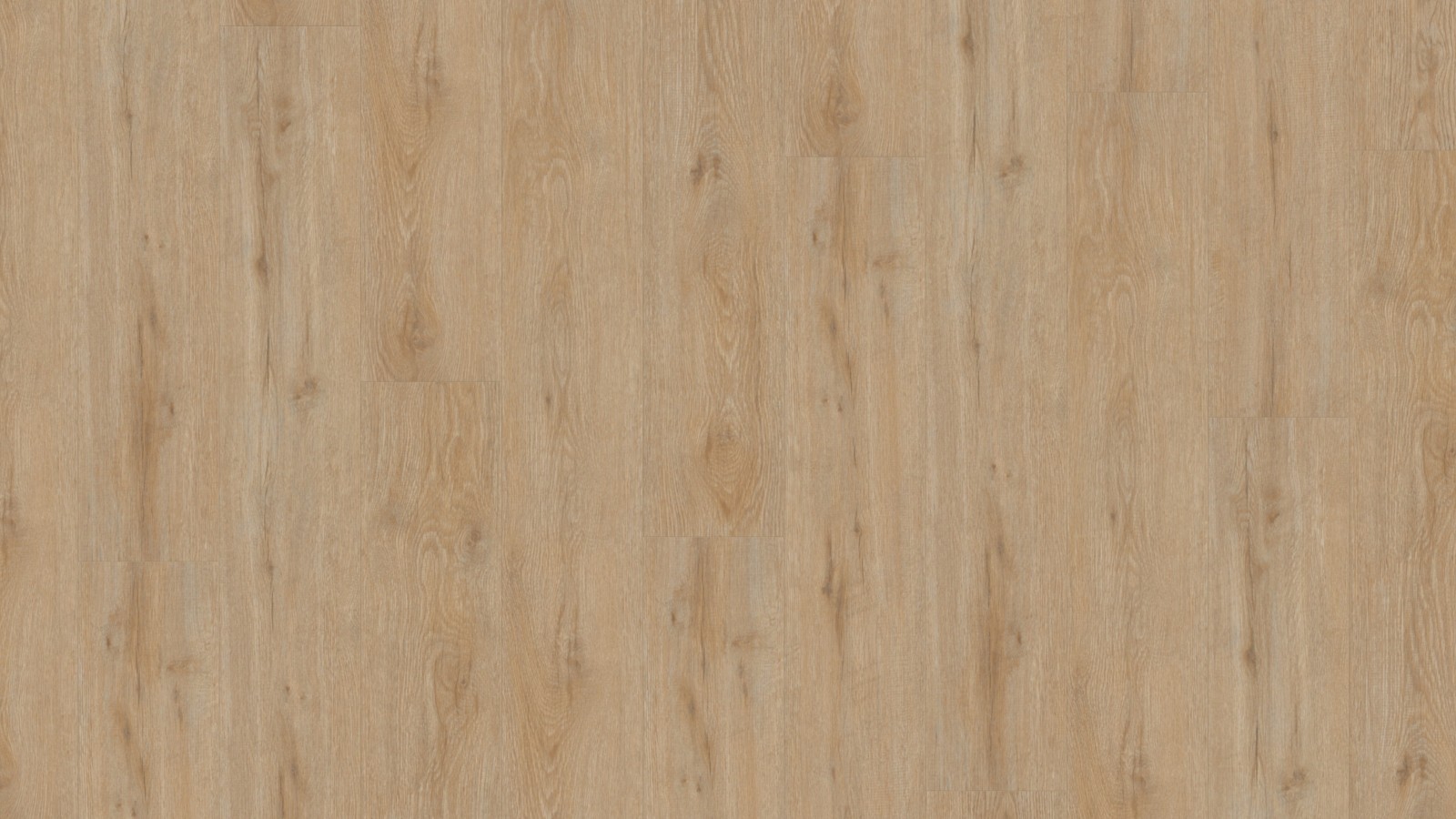 TER HÜRNE Vinylboden Eiche Gent beigebraun Landhausdiele G03 | Bright Choice Compact | 34 m²-4012853110887