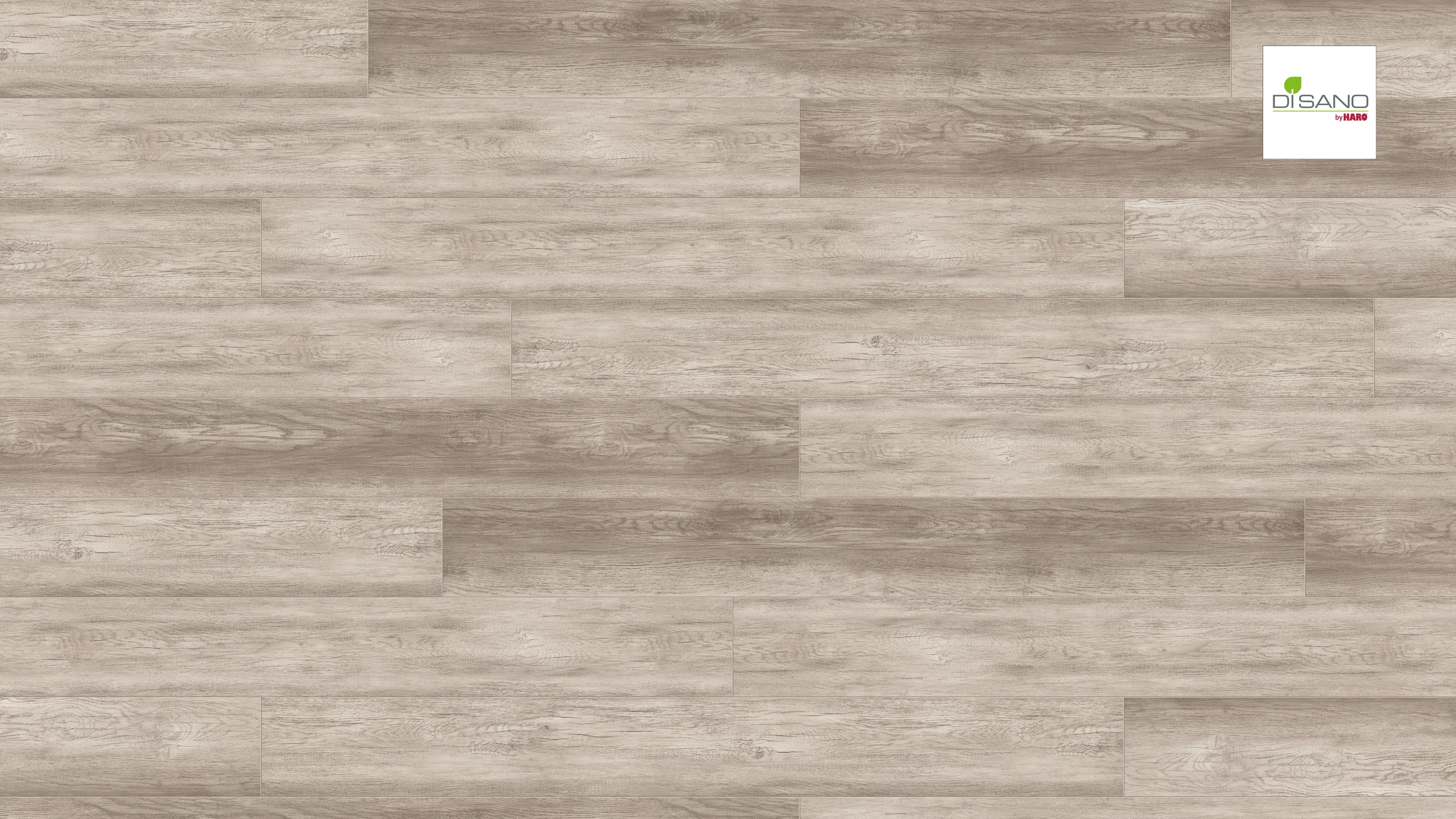 HARO Vinylboden Country Eiche grau Landhausdiele XL | DISANO Classic Aqua | 2. Wahl | 11 m²-4018427415068