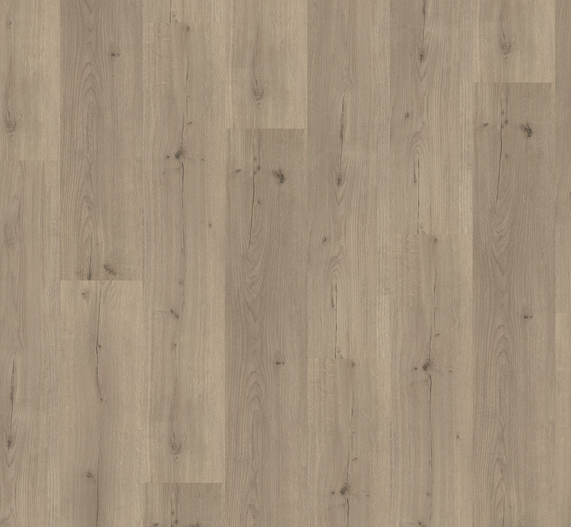 PARADOR Klebe-Vinylboden Eiche Infinity grau Landhausdiele Lebhafte Struktur | Basic 2.0 | 22,5 m²-4014809192442