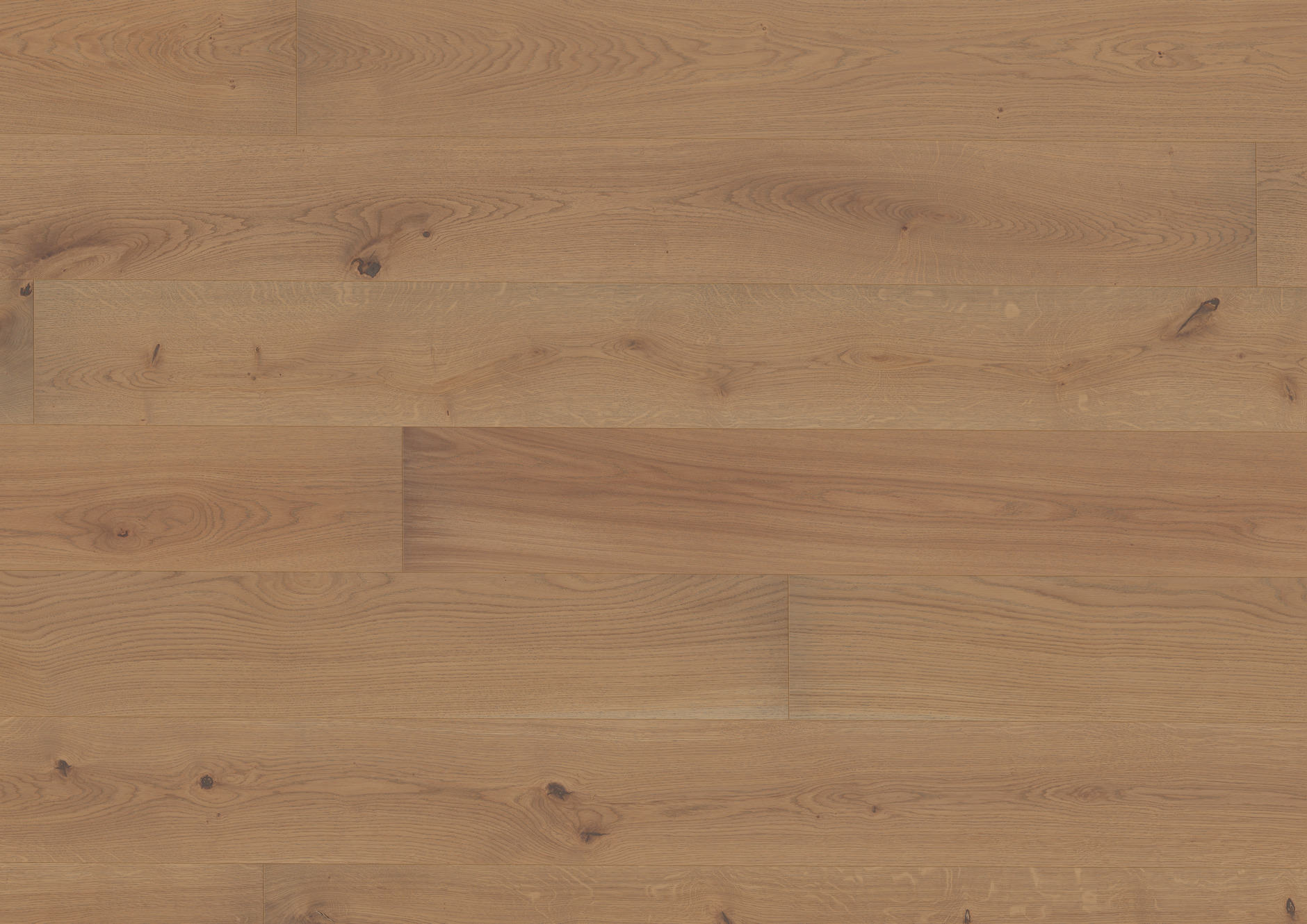 TER HÜRNE Parkett Eiche schilfgrau Landhausdiele gebürstet farbig-naturgeölt | Sonderedition | 23 m²-4012853130618 guenstig bei bodenverkauf.de kaufen TER HÜRNE Parkett Eiche schilfgrau Landhausdiele gebürstet farbig-naturgeölt | Sonderedition | 23 m²-4012853130618