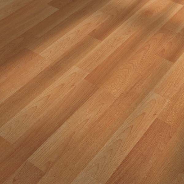 HARO Laminat Buche Provence 2-Stab | Tritty 75 | 20 m²-4018427265243