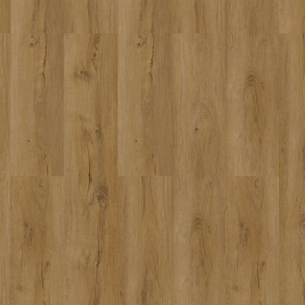 CHECK Vinylboden 2462 Horstmar Eiche Landhausdiele | Basic Collection-4250055120161