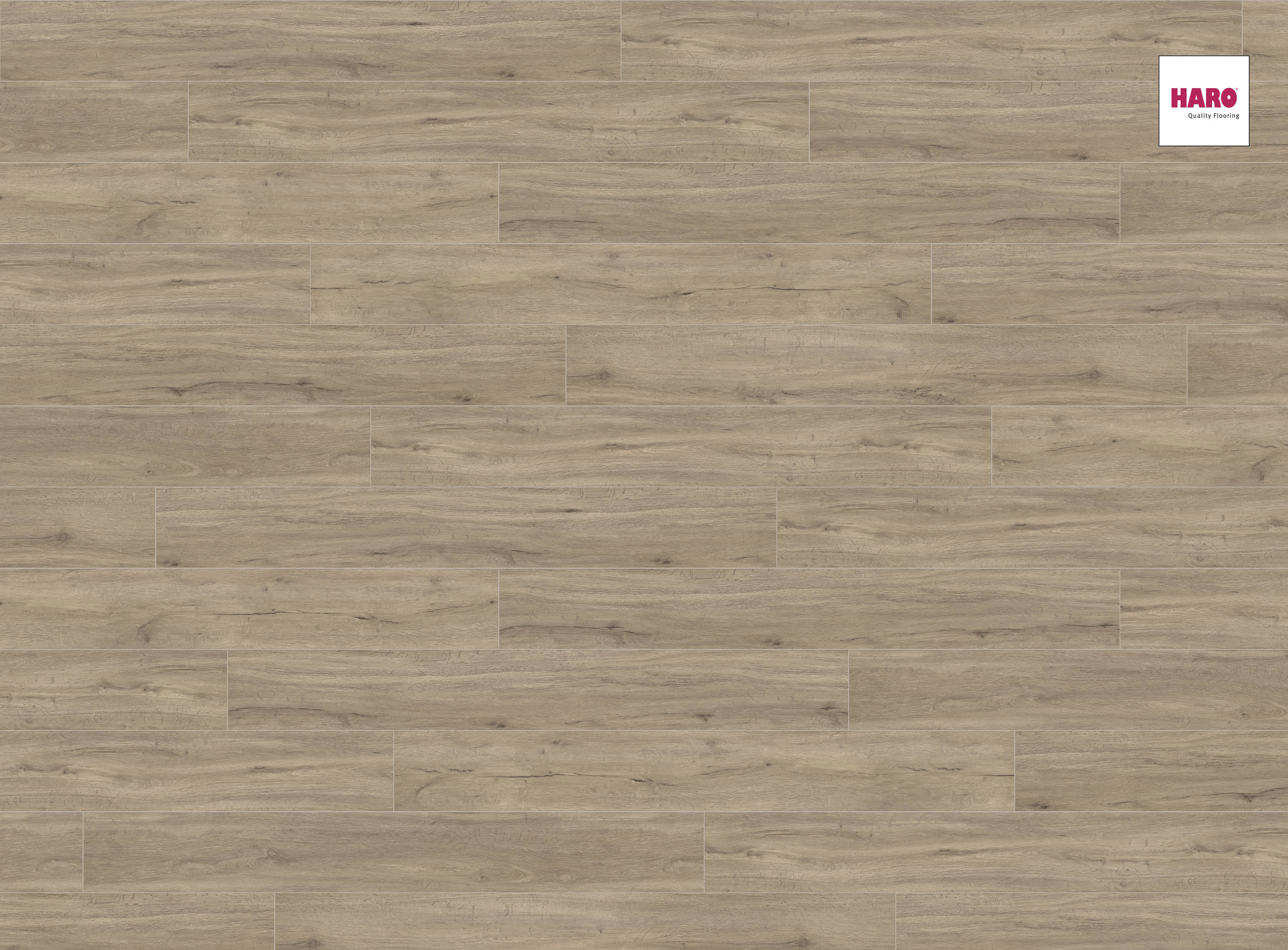 HARO Designboden Eiche Columbia grau strukturiert Landhausdiele | DISANO Life | 2. Wahl-4018427507053