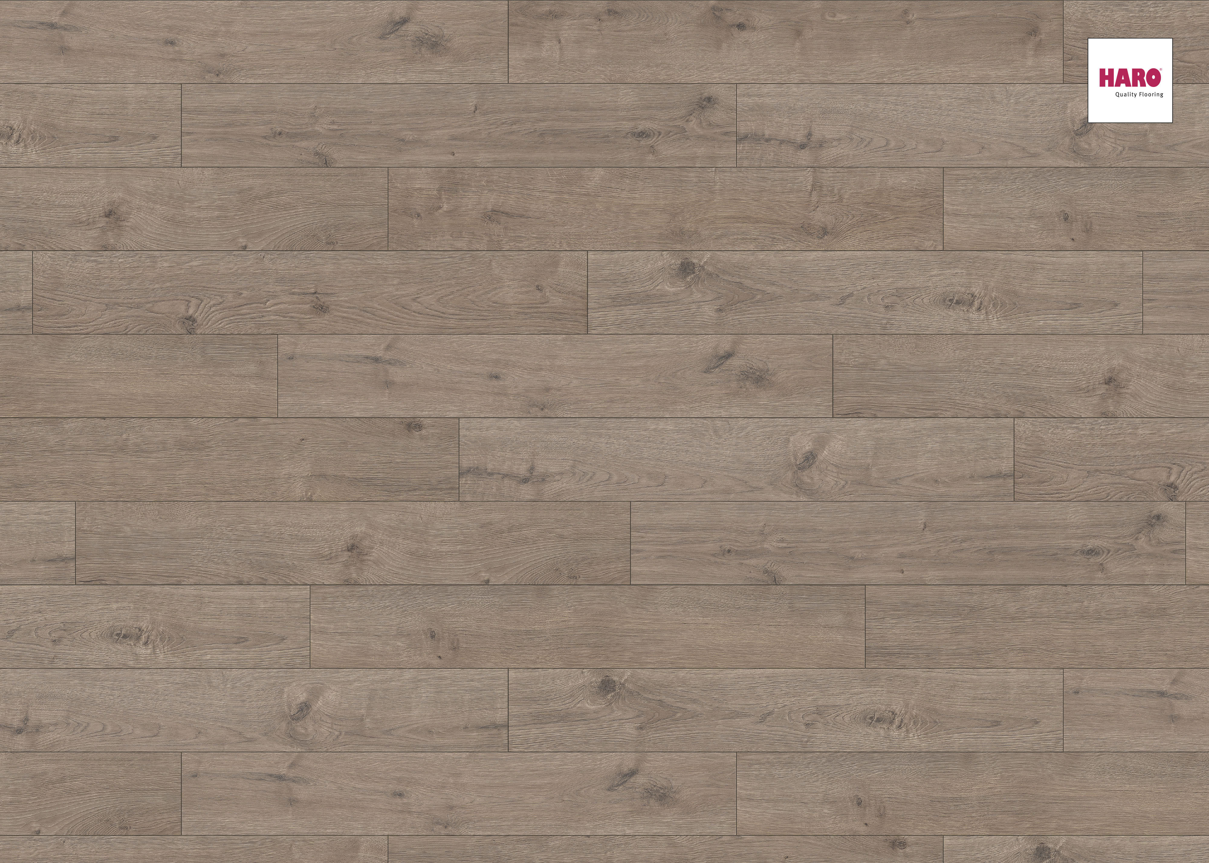 HARO Laminat Eiche Portland grau Landhausdiele 4V | Tritty 100 | 2.Wahl | 15,5 m²-4018427376994
