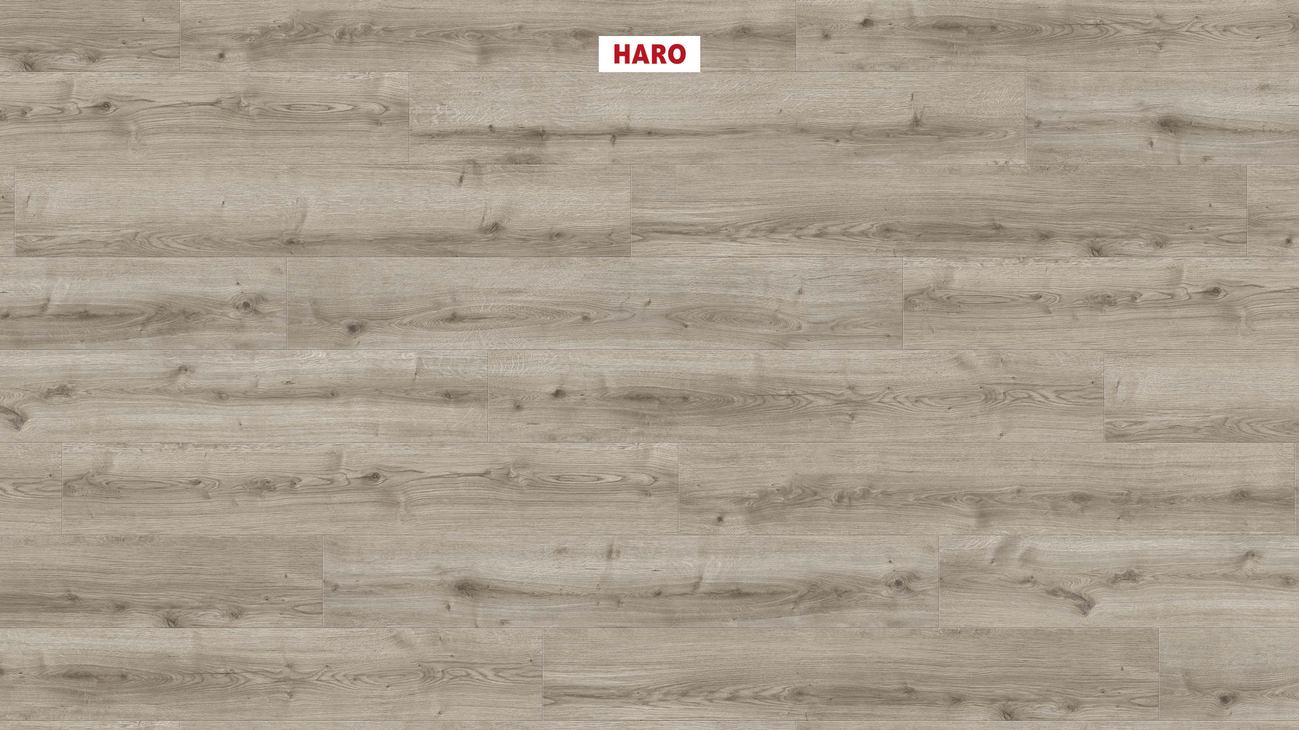 HARO Designboden Eiche Ontario grau Landhausdiele 4V | DISANO WaveAqua | 2. Wahl-4018427471835