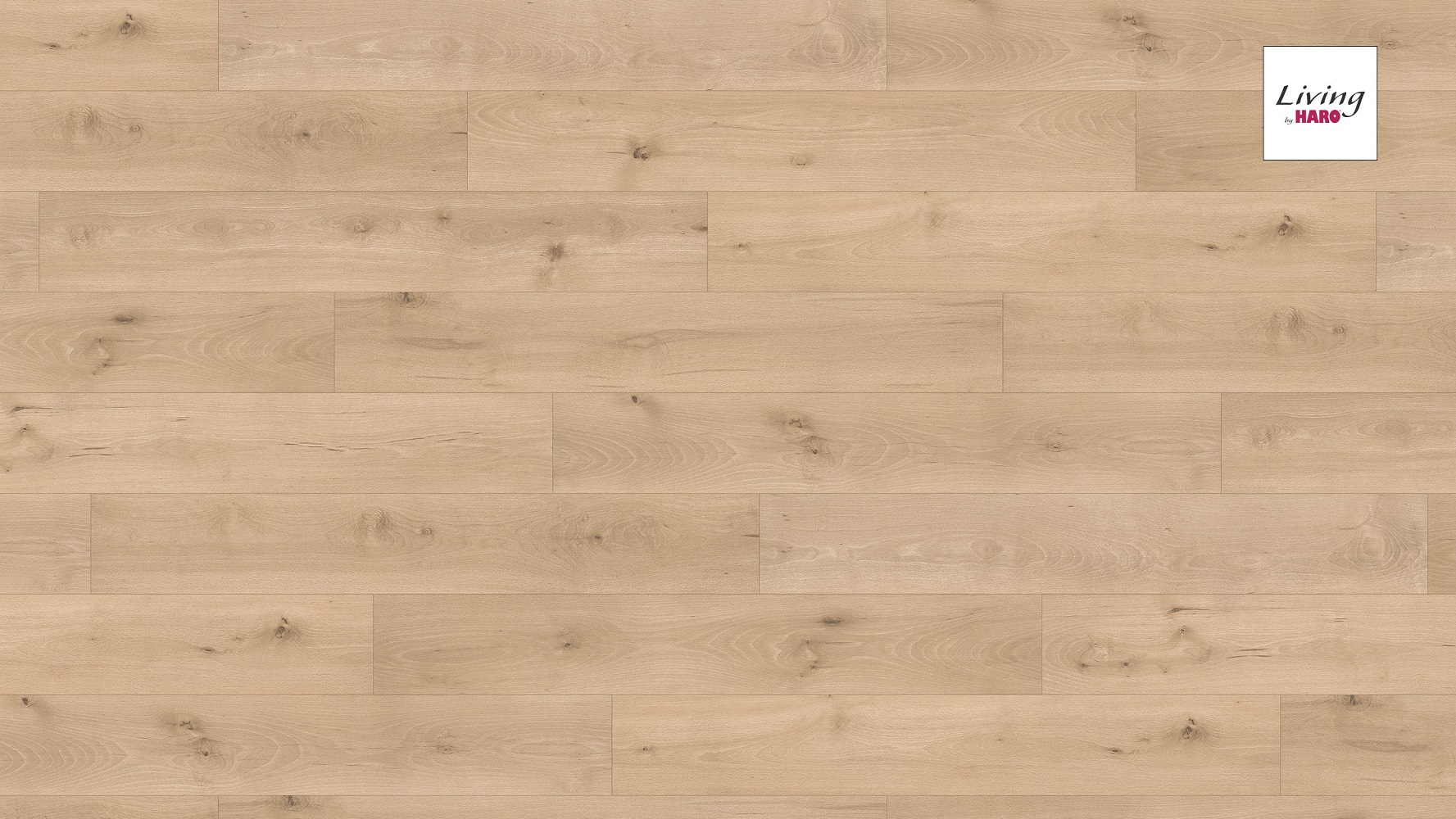 HARO Laminat Sommerbuche Landhausdiele 4V strukturiert matt | Living | 24 m²-4018427386641