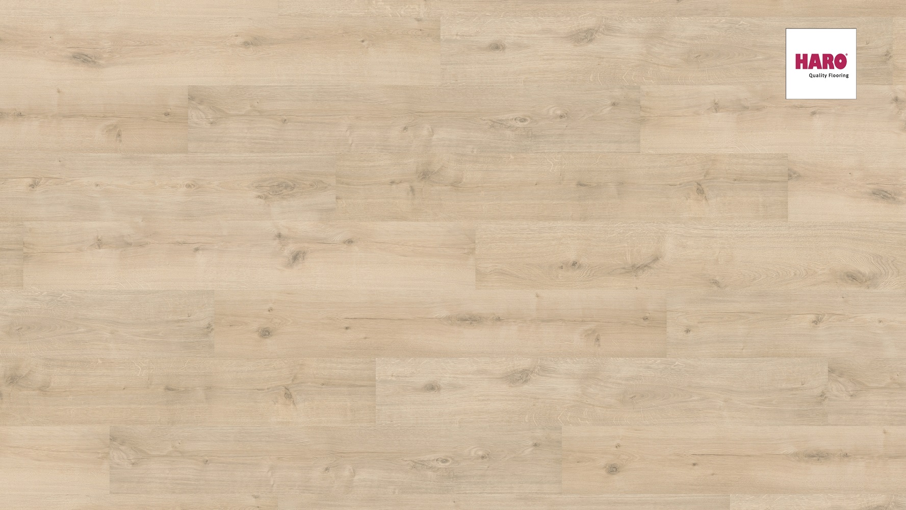 HARO Laminat Eiche Siena samtweiß soft matt Landhausdiele | Sonderedition | 2.Wahl | 30 m²-4018427447847