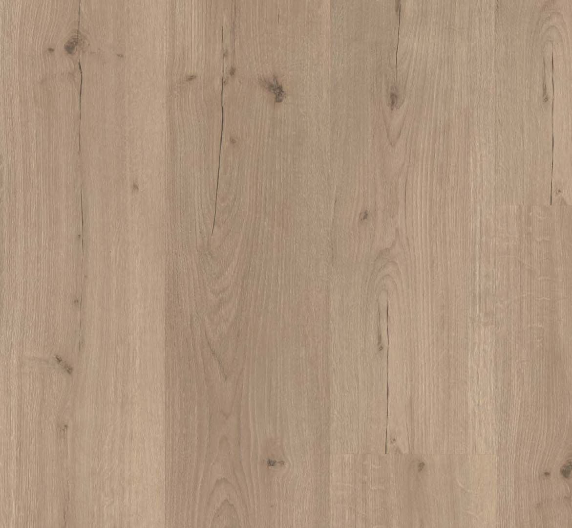 PARADOR Vinylboden Eiche Infinity grau Landhausdiele Lebhafte Struktur | Basic 30-4014809191827