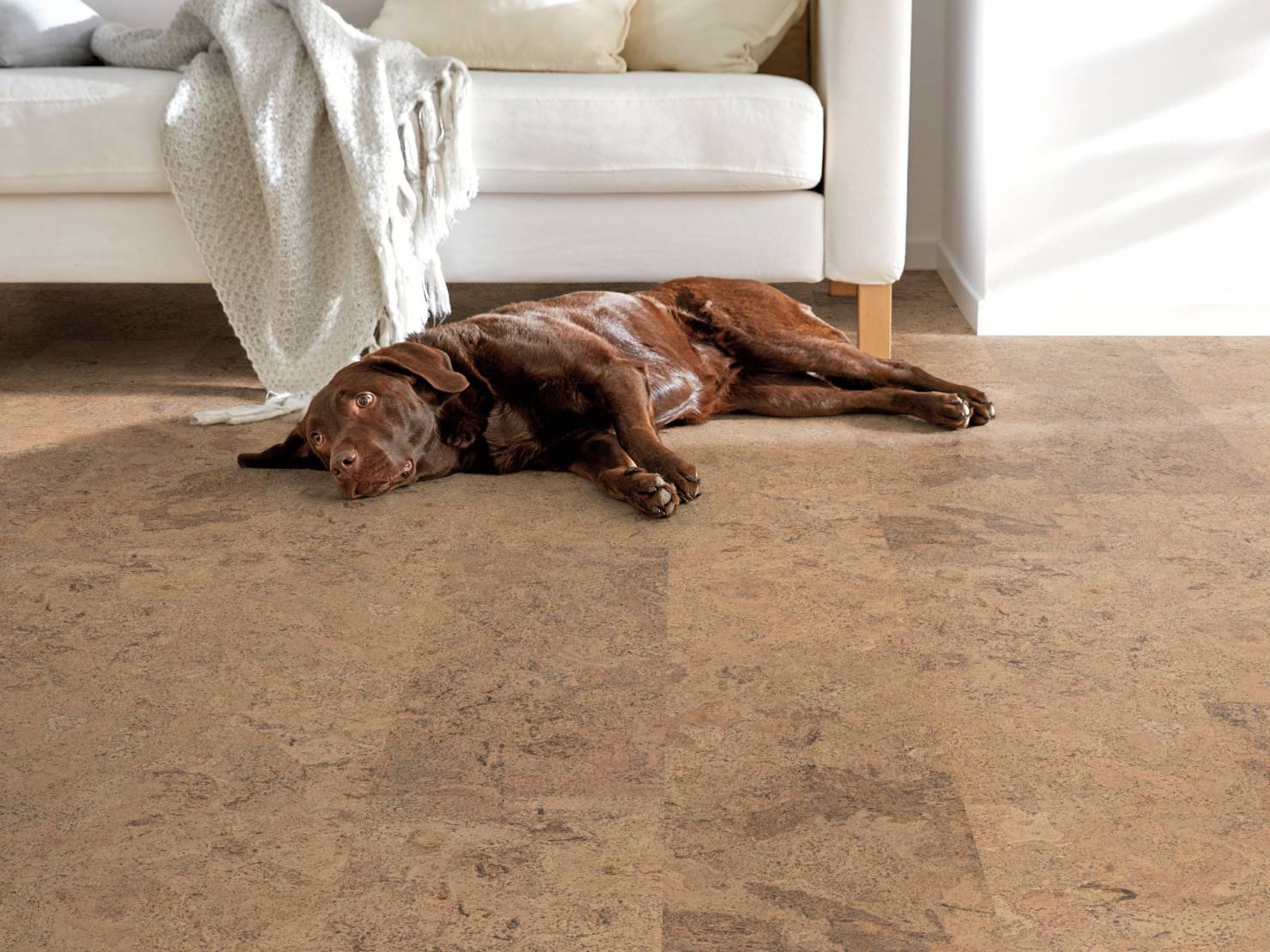 AMORIM Korkboden Algarve Creme | Corklife Studiostyle-5602190324093