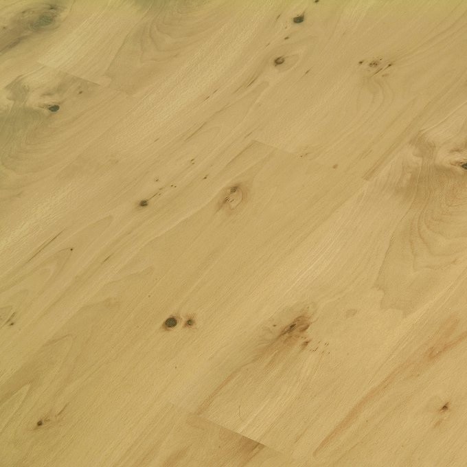 Astbuche Wellness: 17,0 m²-4005087754194 guenstig bei bodenverkauf.de kaufen Astbuche Wellness: 17,0 m²-4005087754194