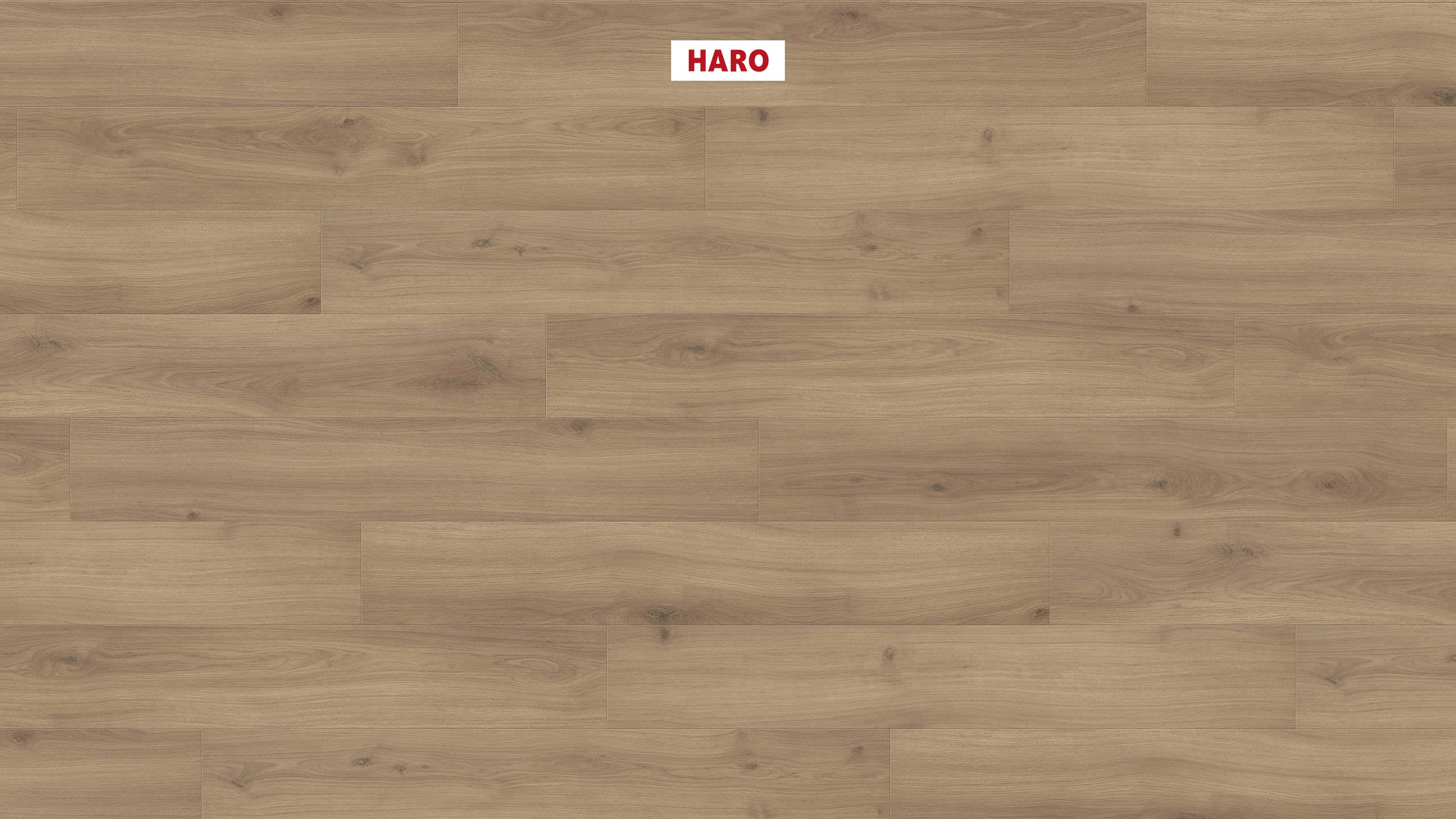 HARO Laminat Eiche Emilia puro Landhausdiele 4V | Tritty 200 Aqua | 2.Wahl | 19,5 m²-4018427458270