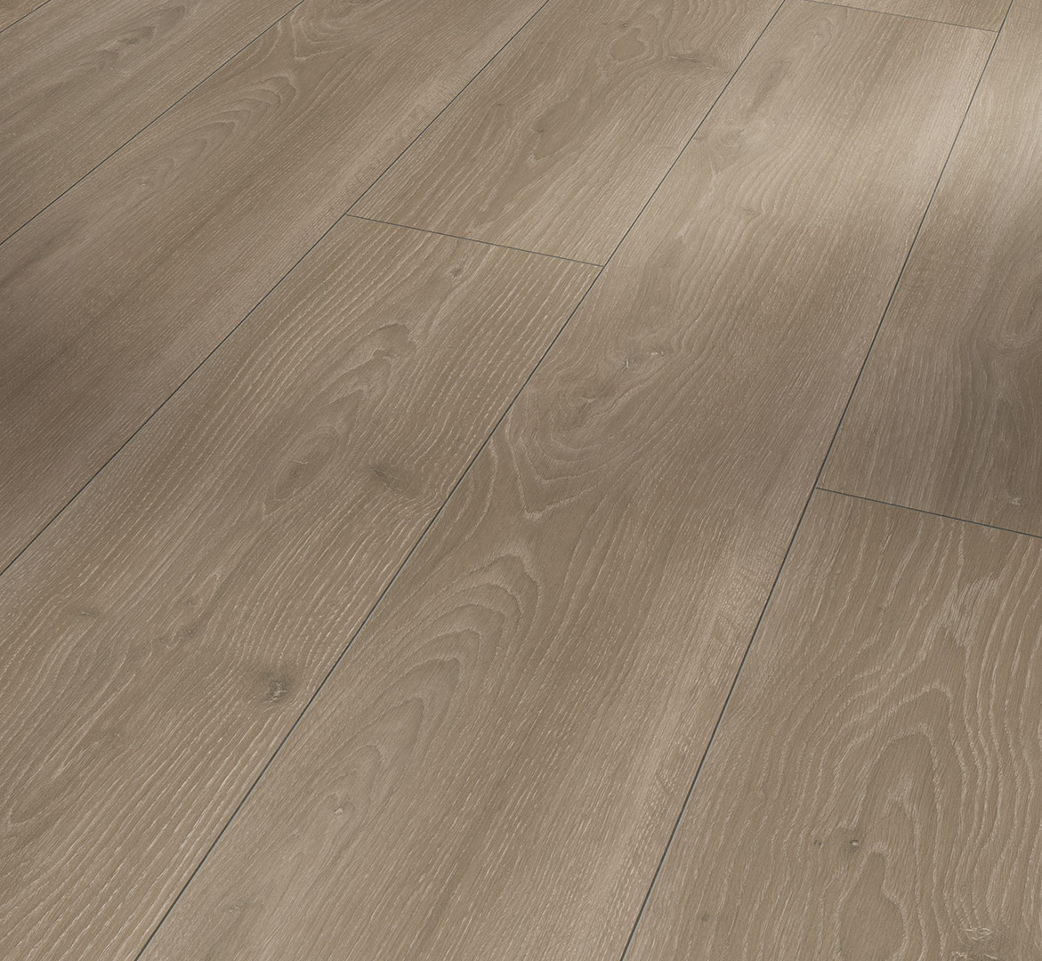 PARADOR Laminat Eiche Skyline perlgrau Naturmattstruktur 4-seitige V-Fuge | Trendtime 6