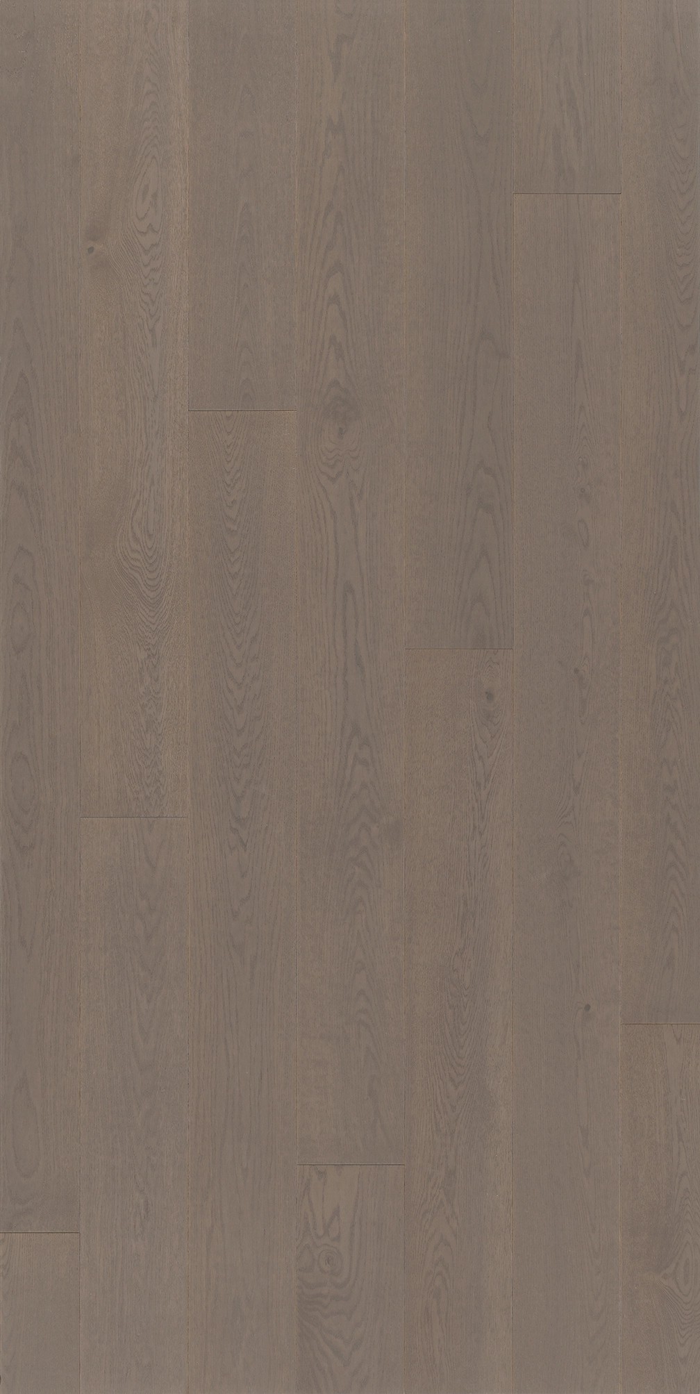 PARADOR Parkett Eiche graubraun Landhausdiele Minifase | Classic 3060 | 2. Wahl | 24 m²-4014809172673