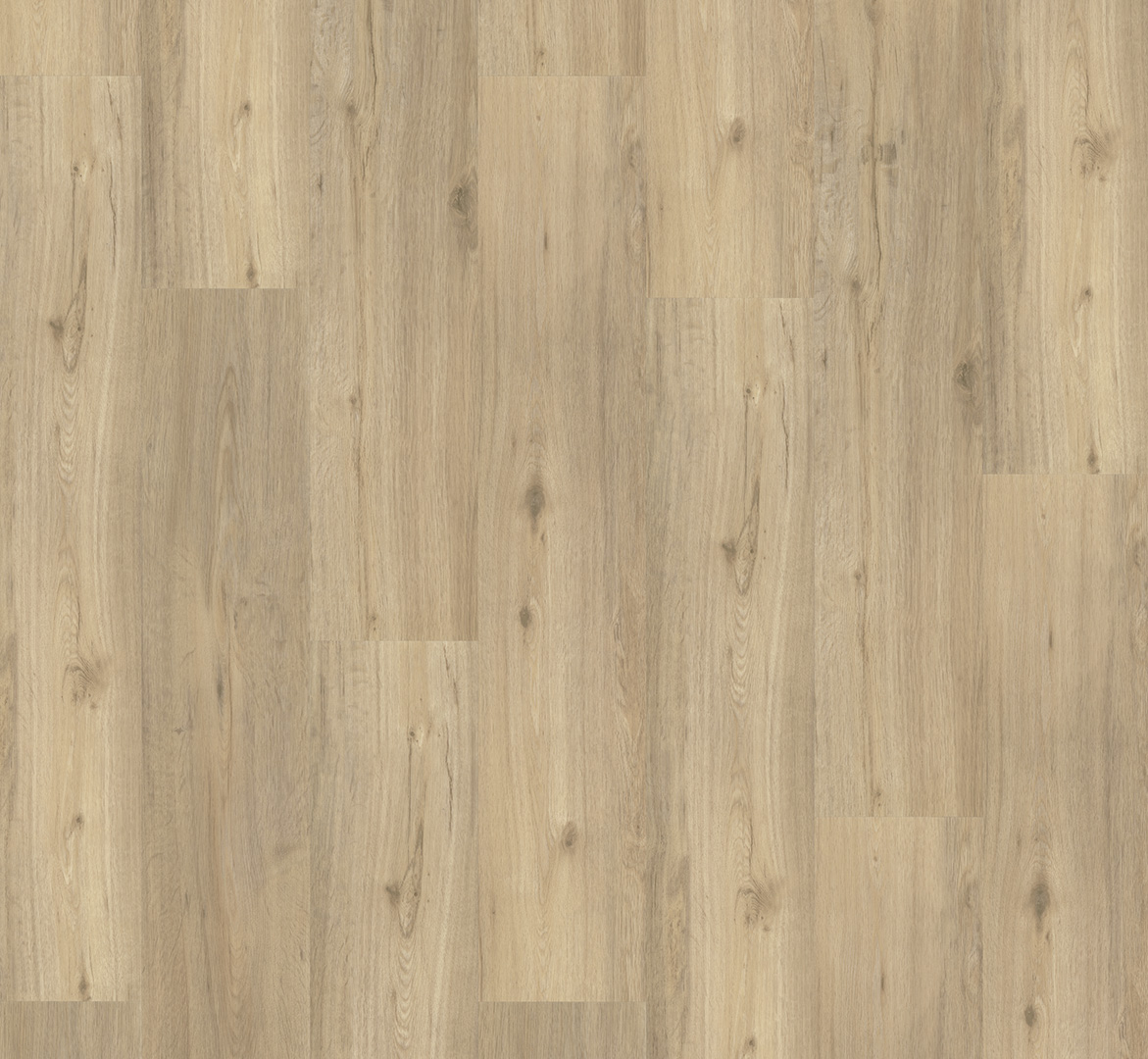 PARADOR Vinylboden Eiche geschliffen Landhausdiele Gebürstete Struktur | Classic 2050-4014809145158 guenstig bei bodenverkauf.de kaufen PARADOR Vinylboden Eiche geschliffen Landhausdiele Gebürstete Struktur | Classic 2050-4014809145158