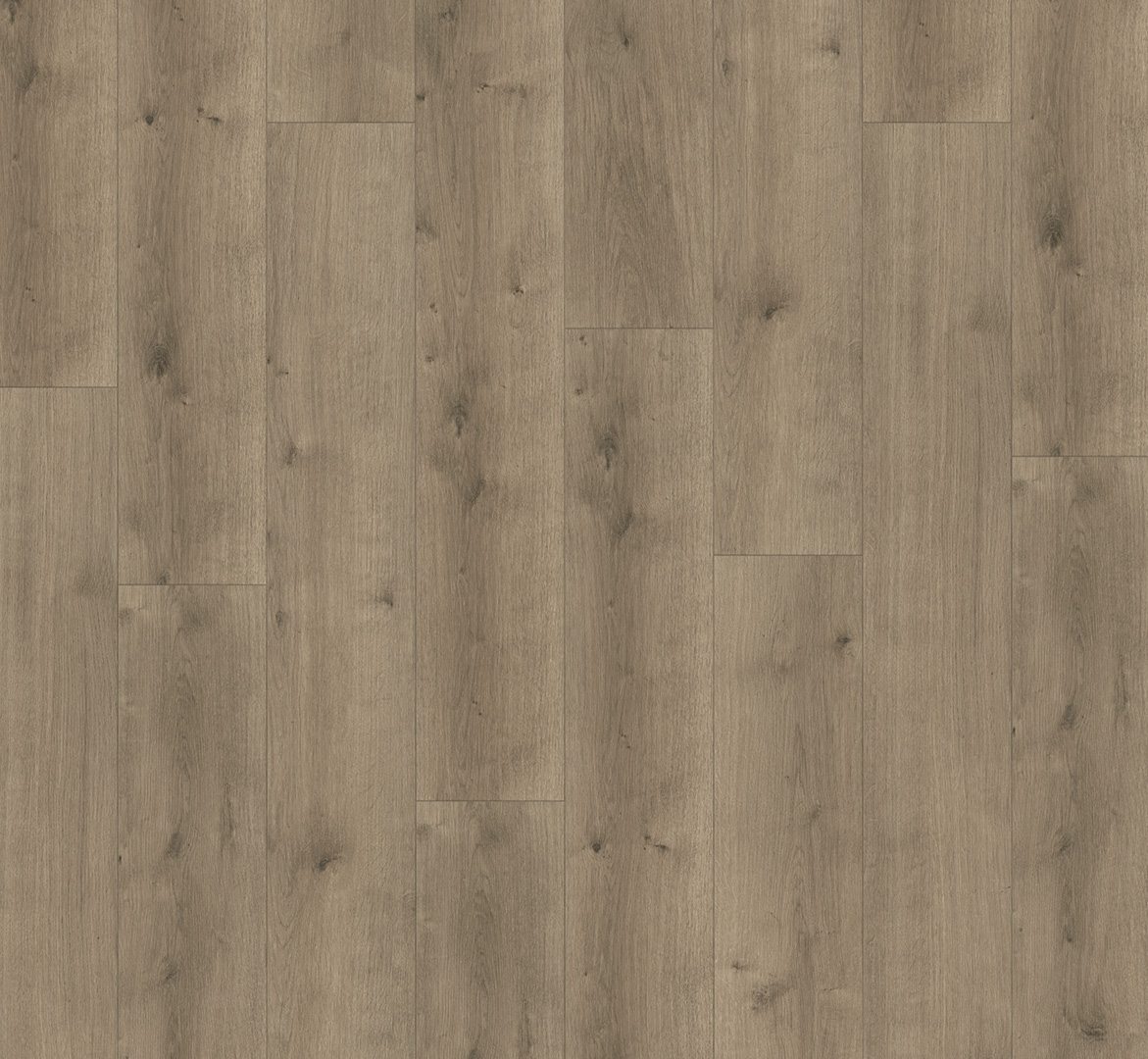 PARADOR Designboden Eiche Pure perlgrau Landhausdiele 4-seitige Fase | Modular ONE Hydron-4014809256595