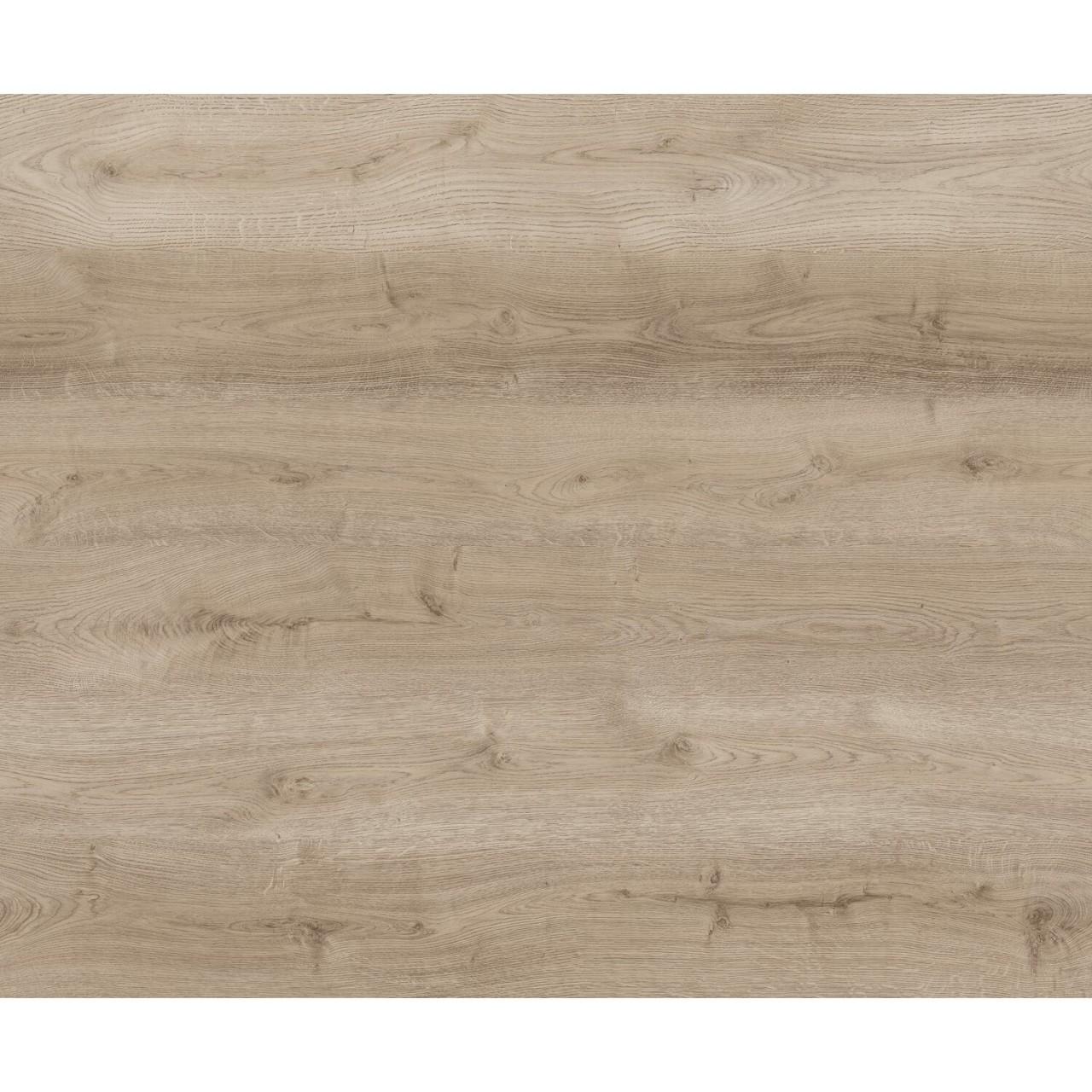 PARADOR Vinylboden Eiche hell natur Landhausdiele Holzstruktur | Click In | 14,5 m²